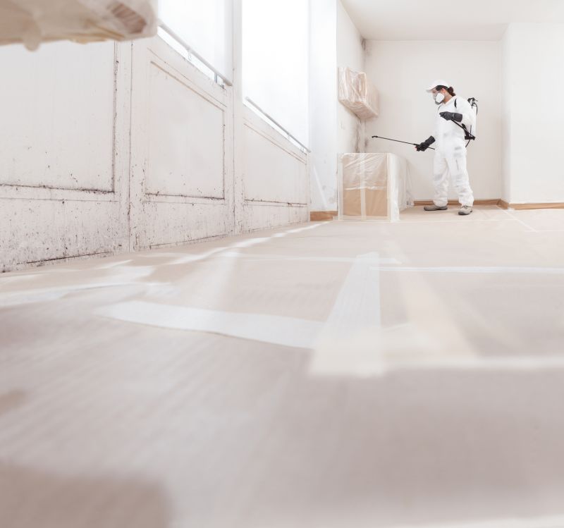 Attic Mold Removal in Fort Lauderdale, FL