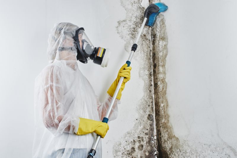 Attic Mold Removal in Broward County, FL