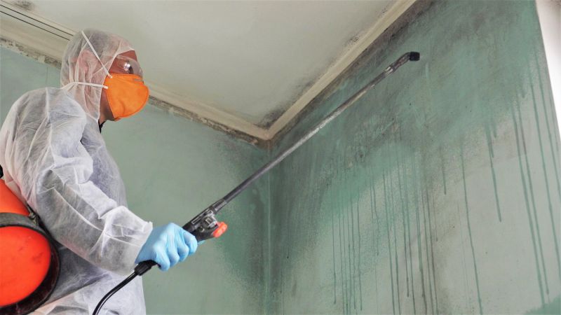 Ceiling Mold Removal in Broward County, FL