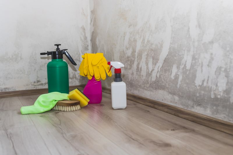 Mold Remediation Service in Fort Worth, TX