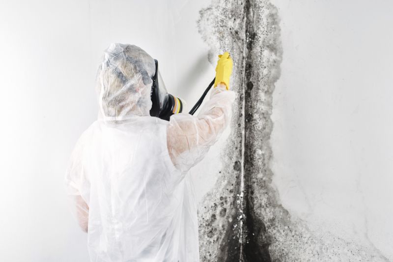 Mold Remediation Service in Frisco, TX